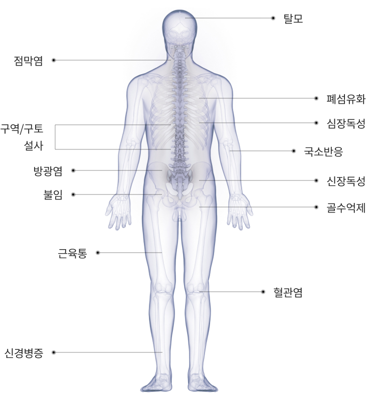 탈모, 점막염, 폐섬유화, 심장독성, 구역/구토, 설사, 국소반응, 방광염, 신장독성, 불임, 골수억제, 근육통, 혈관염, 신경병증