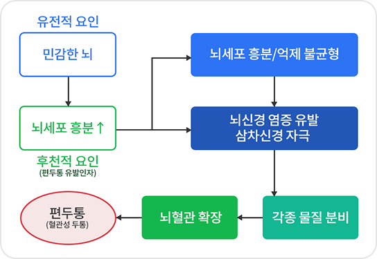 편두통의 원인 유전적 요인과 후천적 요인으로 뇌세포 흥분이 뇌혈관을 확장시켜 편두통을 유발함