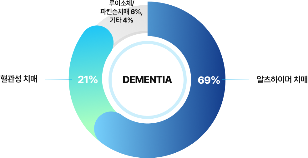 치매 원인질환 설명