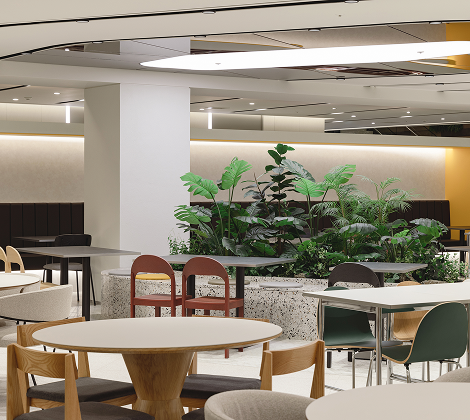 Modern office interior