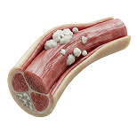 card-image