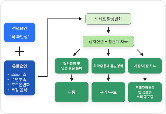 편두통의 원인 유전적 요인과 후천적 요인으로 뇌세포 흥분이 뇌혈관을 확장시켜 편두통을 유발함