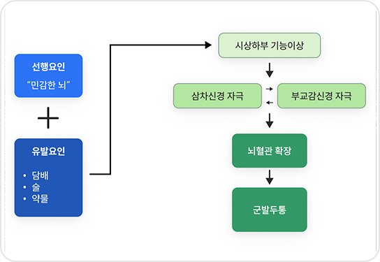 군발두통의 원인 민감한 뇌에 유발인자가 시상하부 기능이상을 유발하여 뇌혈관이 확장되어 군발두통을 유발함
